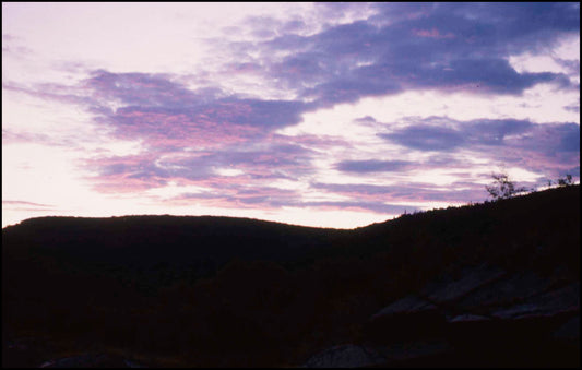 Northern Evening
